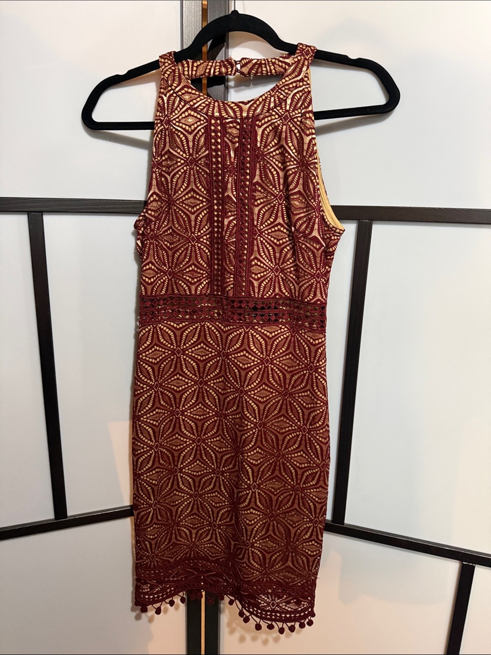 Dress Forum Wine Lace Overlay Mini Dress